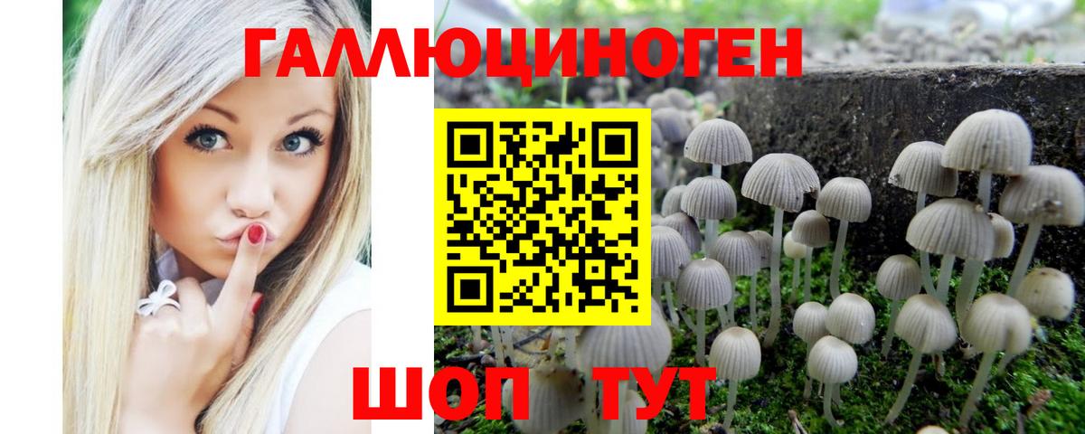Ржев  Псилоцибиновые грибы ЛСД  Вход с VPN  Галлюциногенные грибы мицелий 
