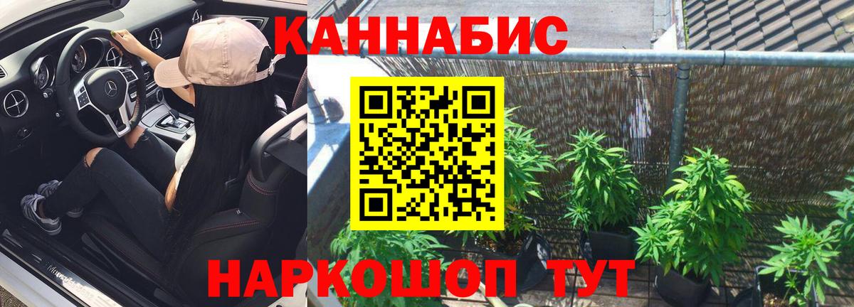 Каннабис сатива Ржев
